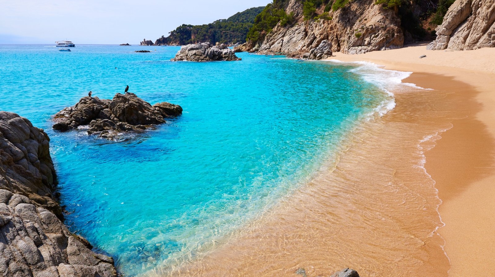 Plage Cala Sa Boadella