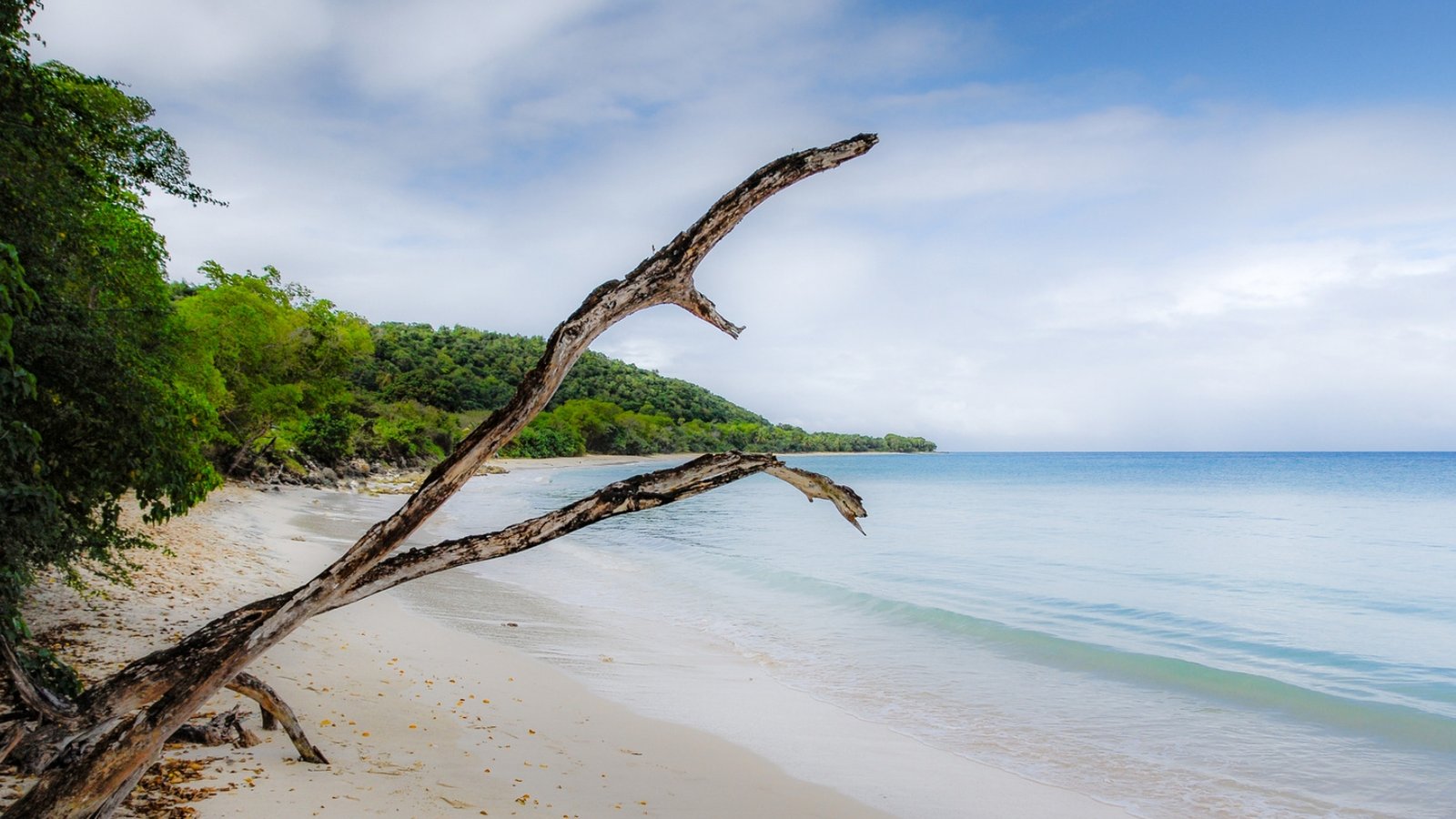 Plage sauvage sur l'Ile de Marie-Galante en Guadeloupe