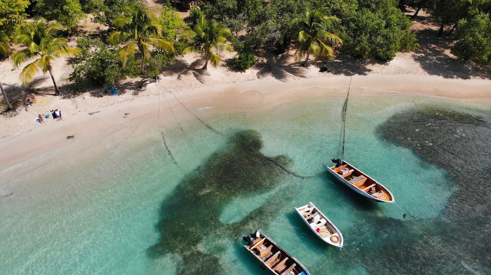 bateaux en Guadeloupe