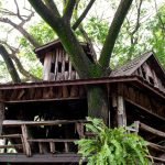 cabane dans les arbres