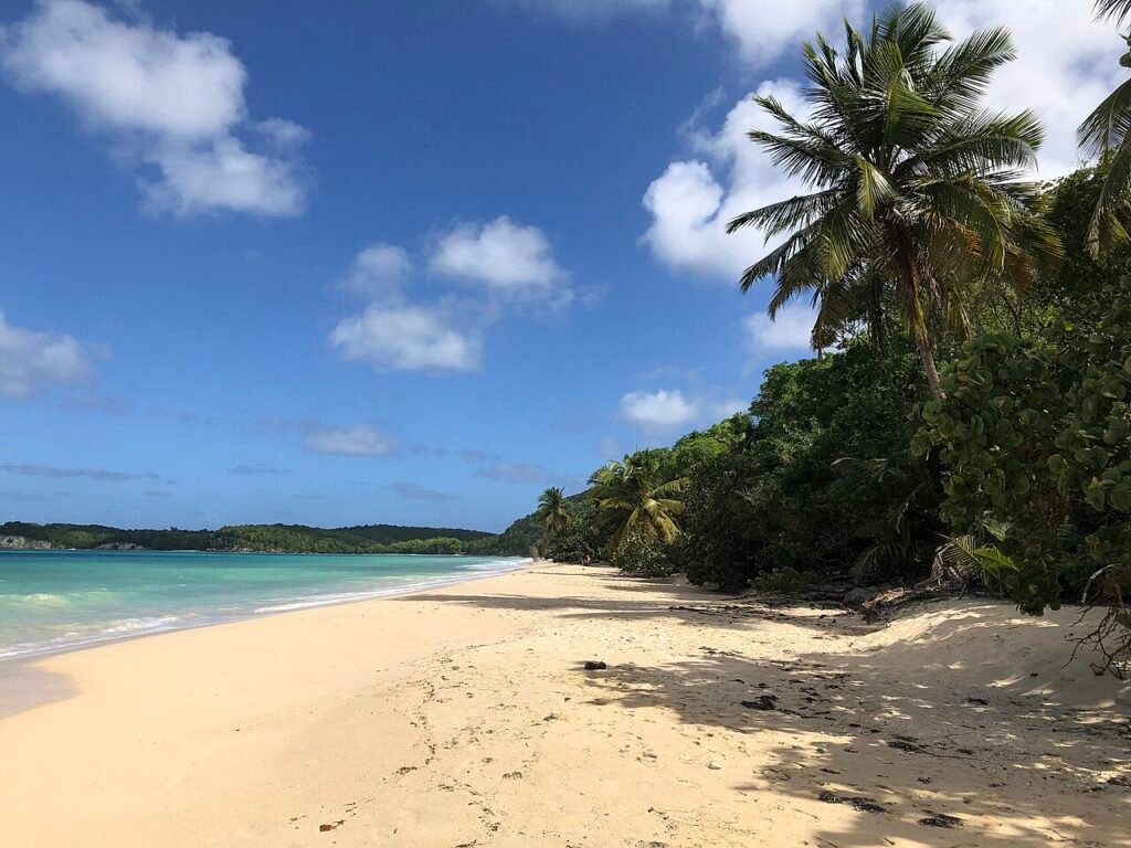 Club vacances Guadeloupe : comparer prestations et tarifs