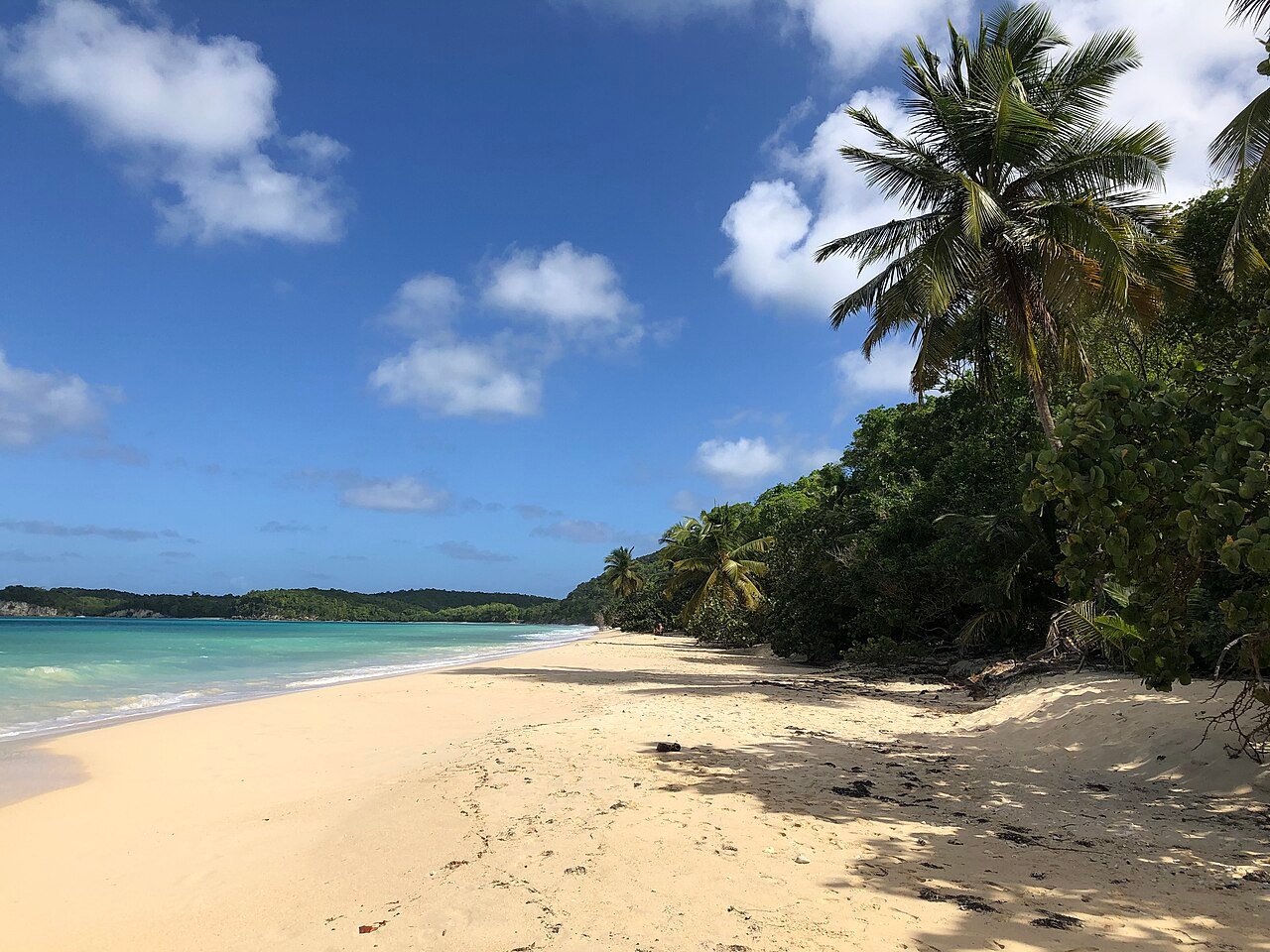 Club vacances Guadeloupe : comparer prestations et tarifs